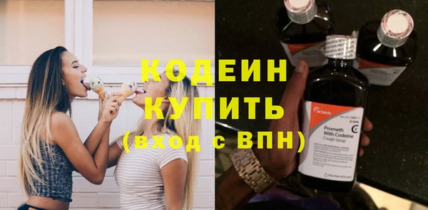 спиды Вяземский