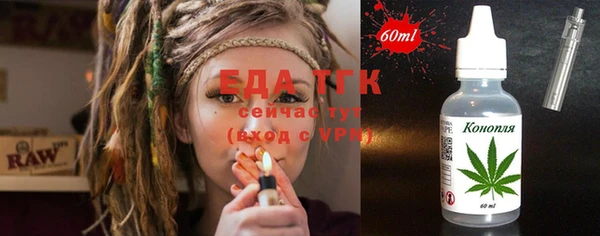 спиды Вяземский