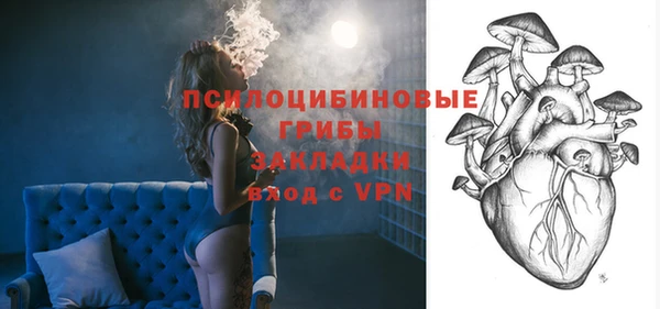 спиды Вяземский