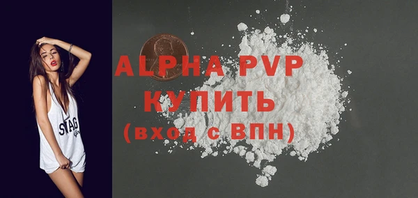 спиды Вяземский