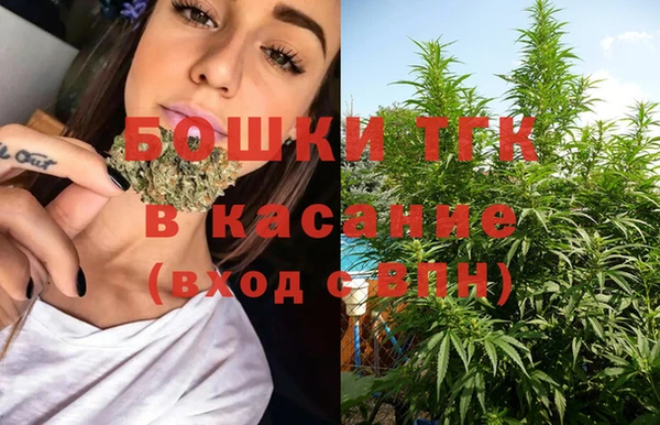 спиды Вяземский