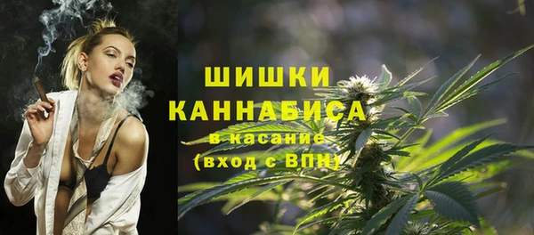 спиды Вяземский