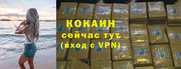 спиды Вяземский