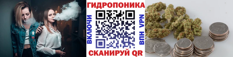 Шишки марихуана тримм  Купить закладки  Томилино 